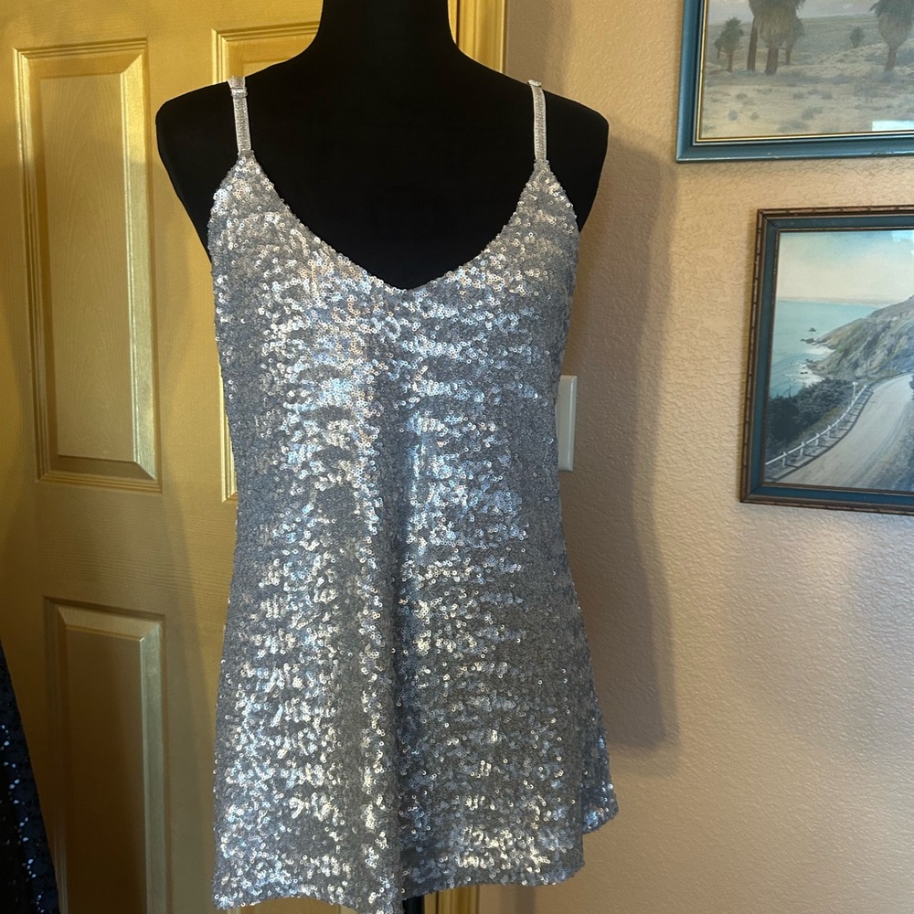 Boston Proper Silver Sequin V-Neck Camisole Top